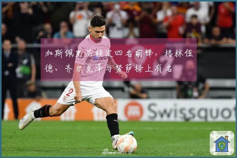 加斯佩里尼锁定四名前锋,格林伍德、齐尔克泽与努萨榜上有名
